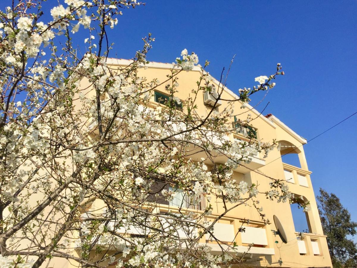 Sobe Bosiljka Hotel Nin Exterior photo